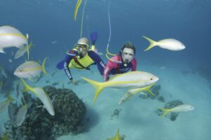 Two people in wetsuits swimming underwater with fish.