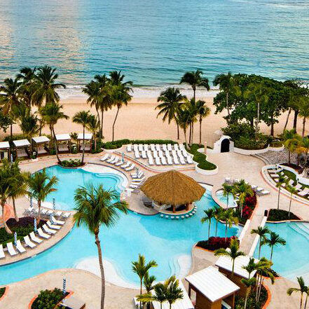 A resort pool with palm trees and an ocean view.